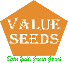 Value Seeds Limited Recruitment