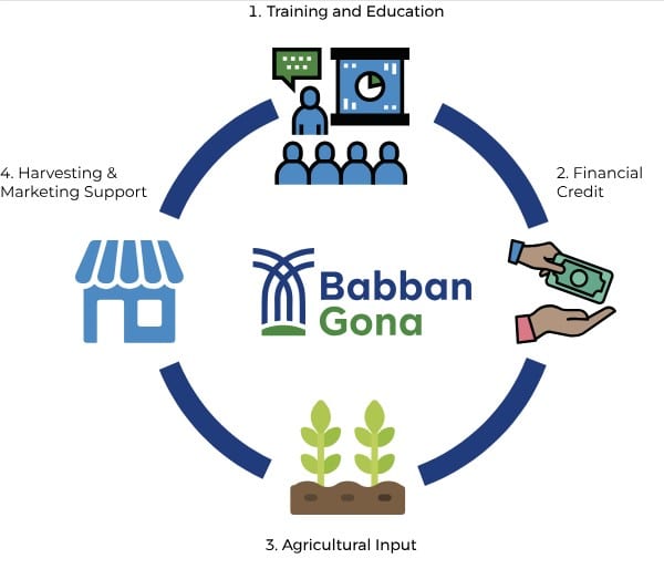 Babban Gona company image