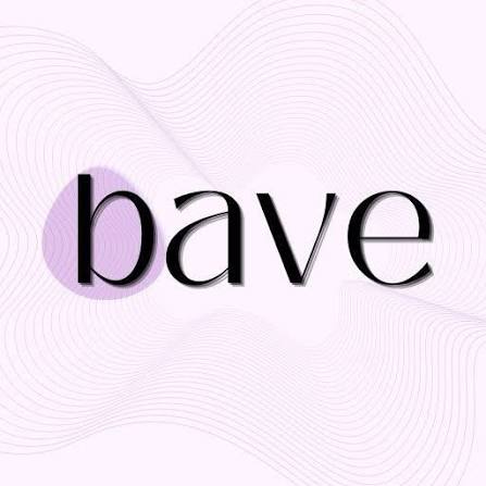 Bave Design Studio company image