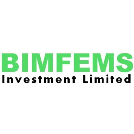 Bimfems Investment Limited company image