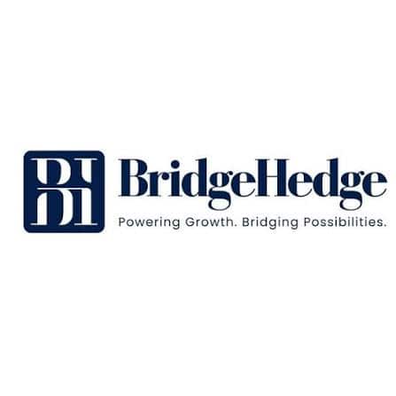 BridgeHedge Limited company image