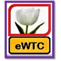 Ekini White Tulip Consulting Limited company image
