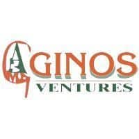 Ginos Ventures Limited company image