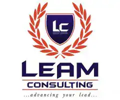 LEAM Consulting Limited company image