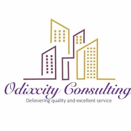 Odixcity Consulting company image