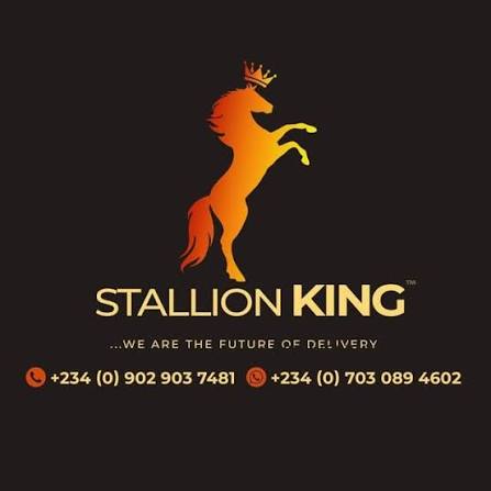 StallionKing Logistics company image
