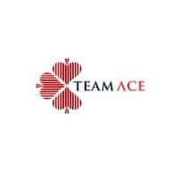 TeamAce Limited company image