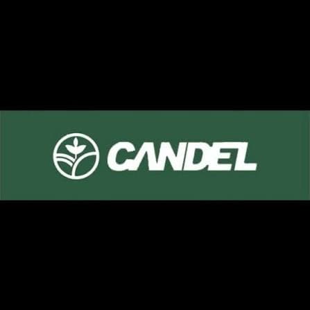 The Candel FZE company image